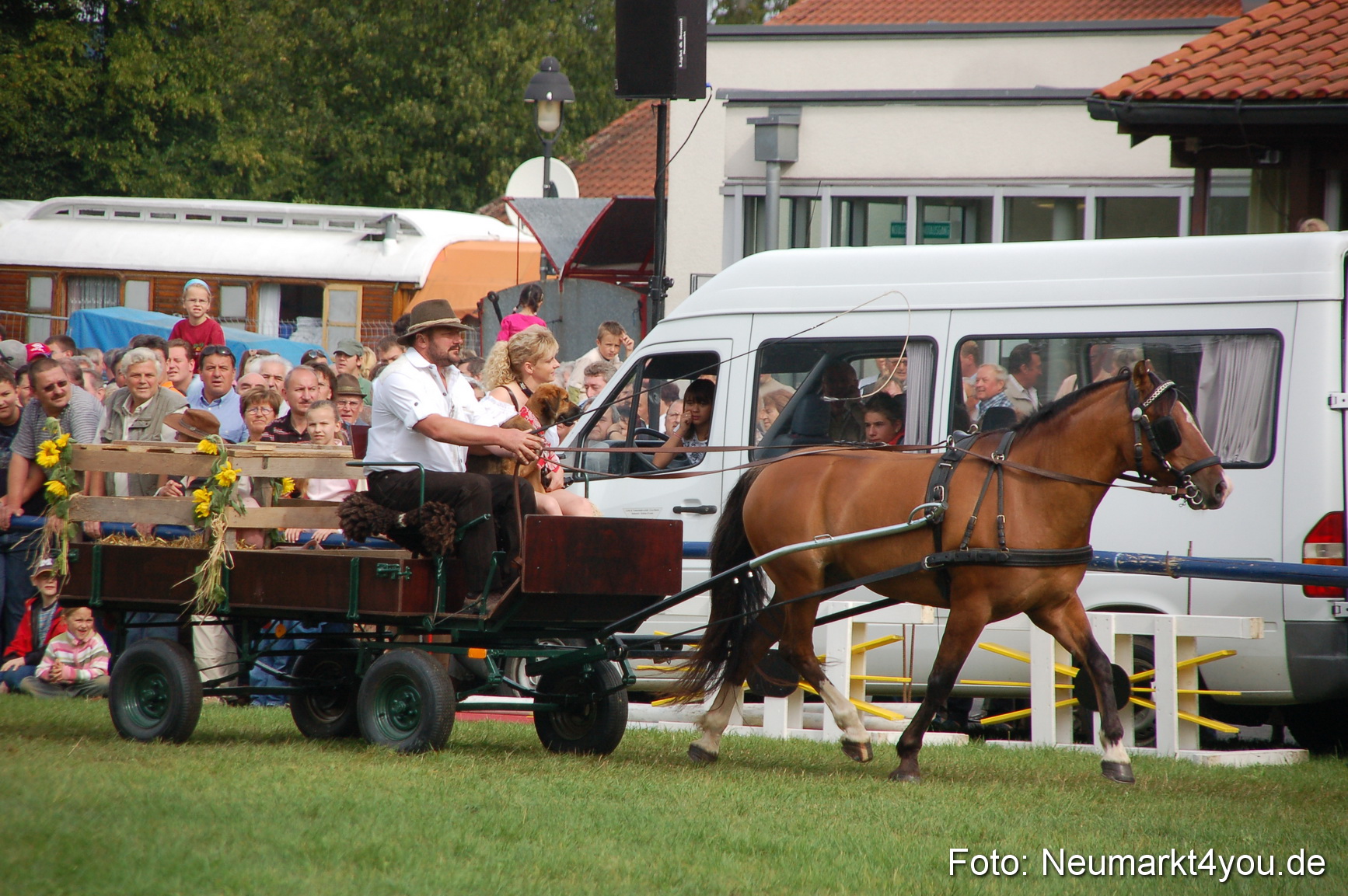 0337 Pferde Fohlenschau 200807