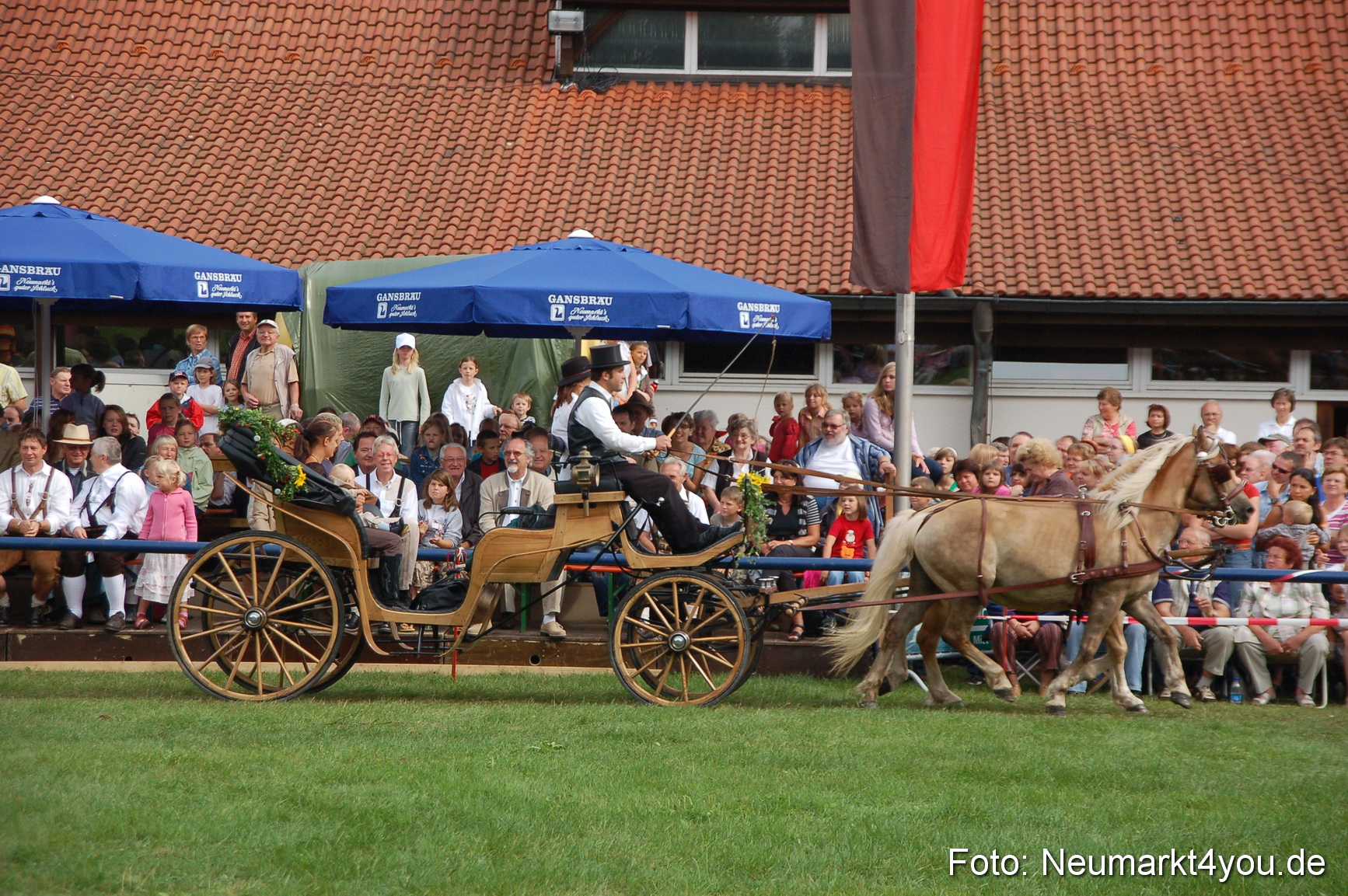 0340 Pferde Fohlenschau 200807