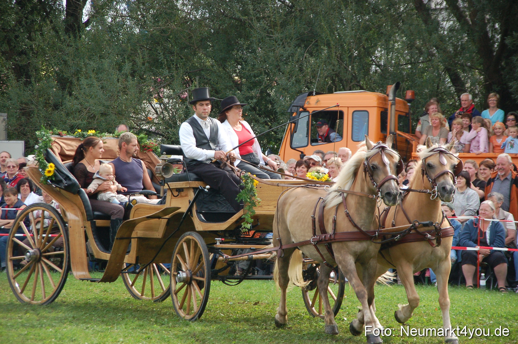 0341 Pferde Fohlenschau 200807