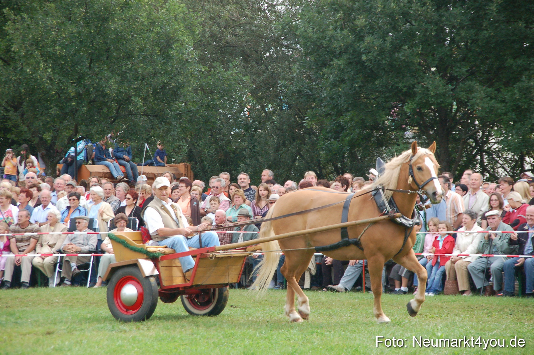 0342 Pferde Fohlenschau 200807