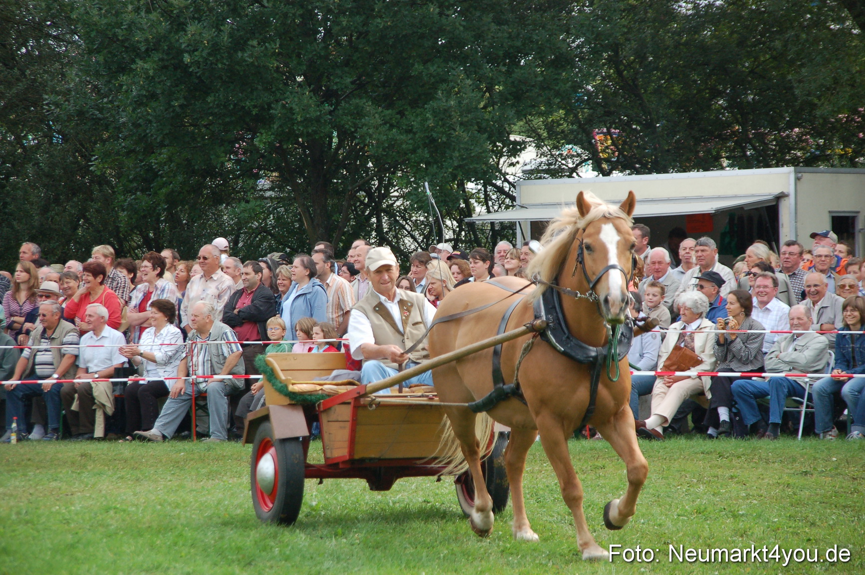 0343 Pferde Fohlenschau 200807