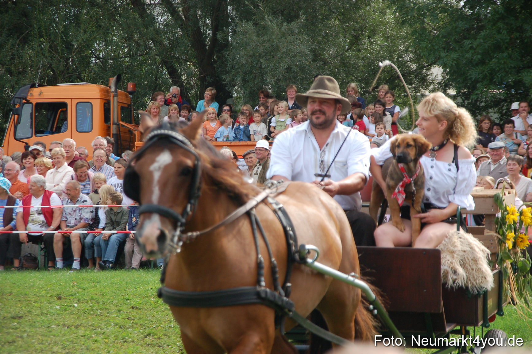 0344 Pferde Fohlenschau 200807