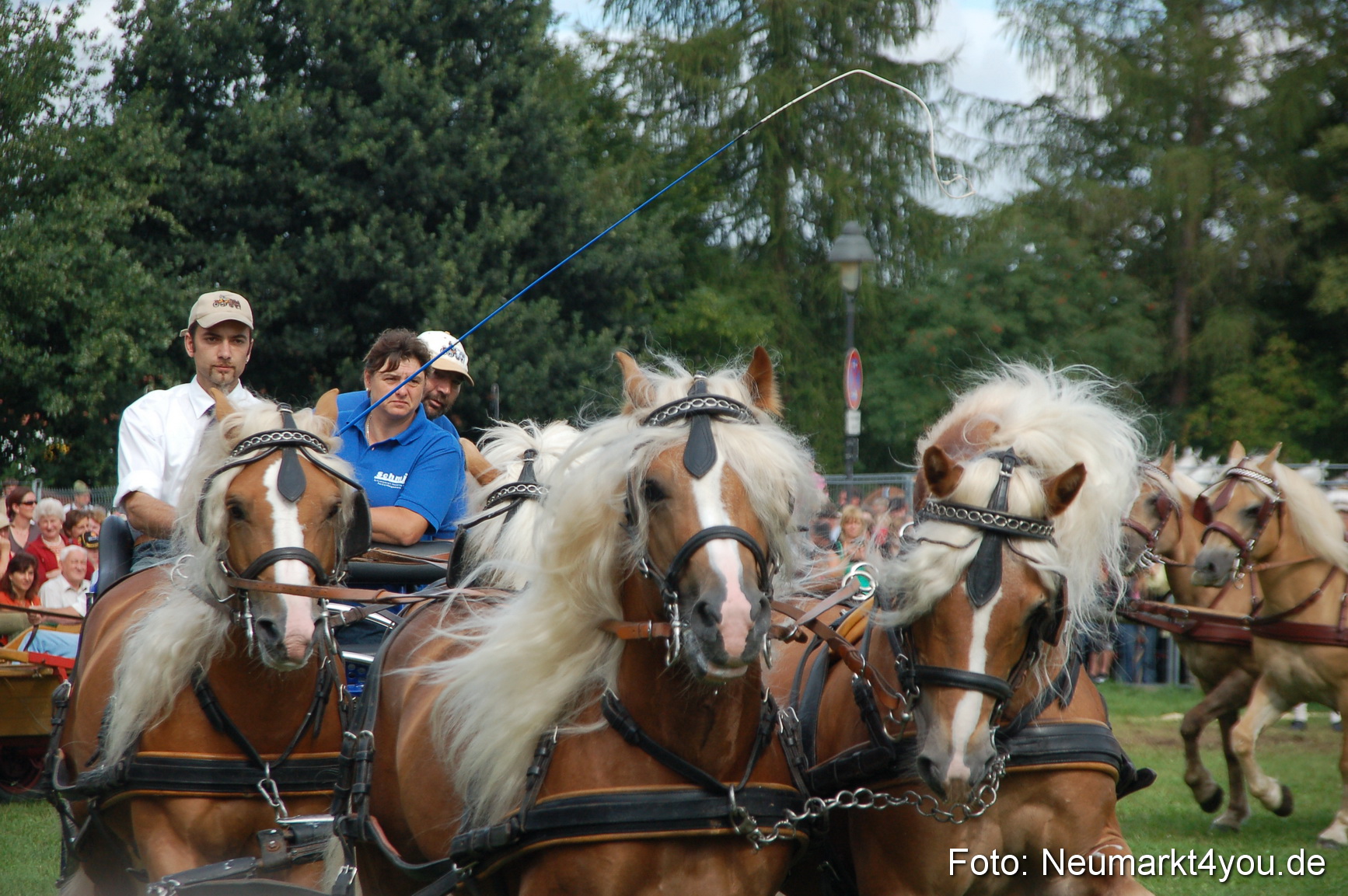 0348 Pferde Fohlenschau 200807