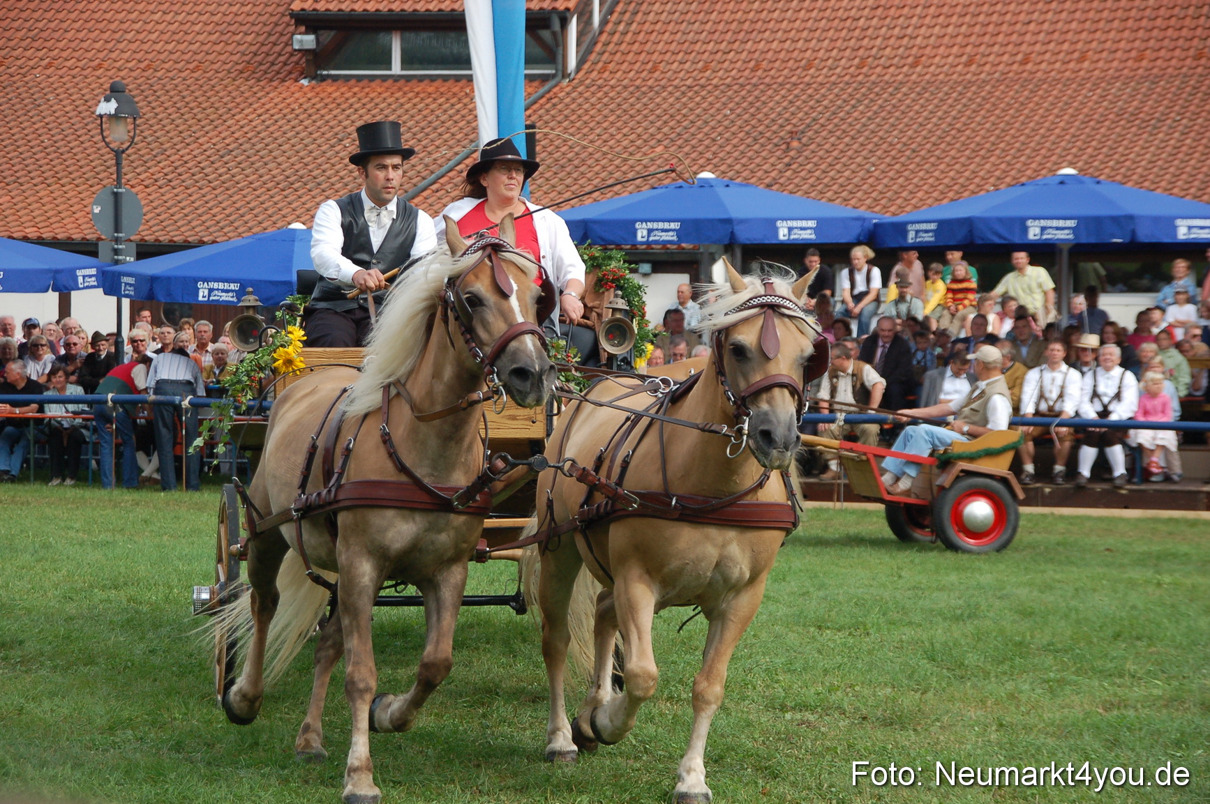 0352 Pferde Fohlenschau 200807