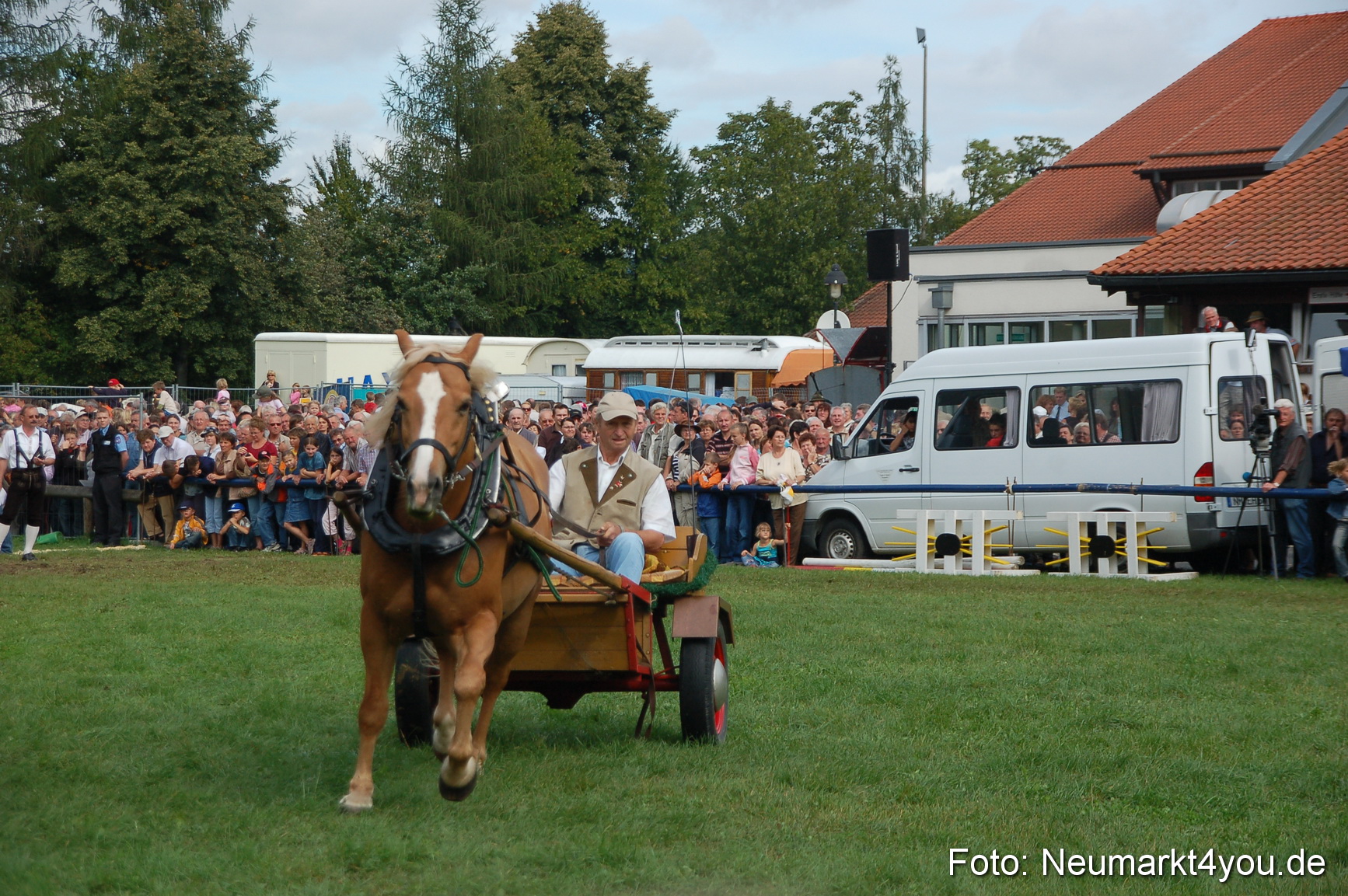 0353 Pferde Fohlenschau 200807