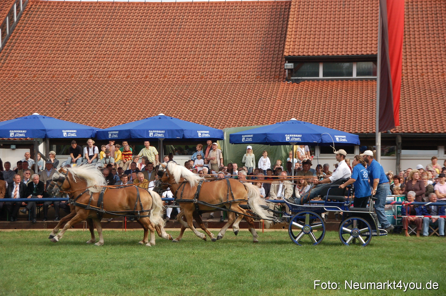 0357 Pferde Fohlenschau 200807