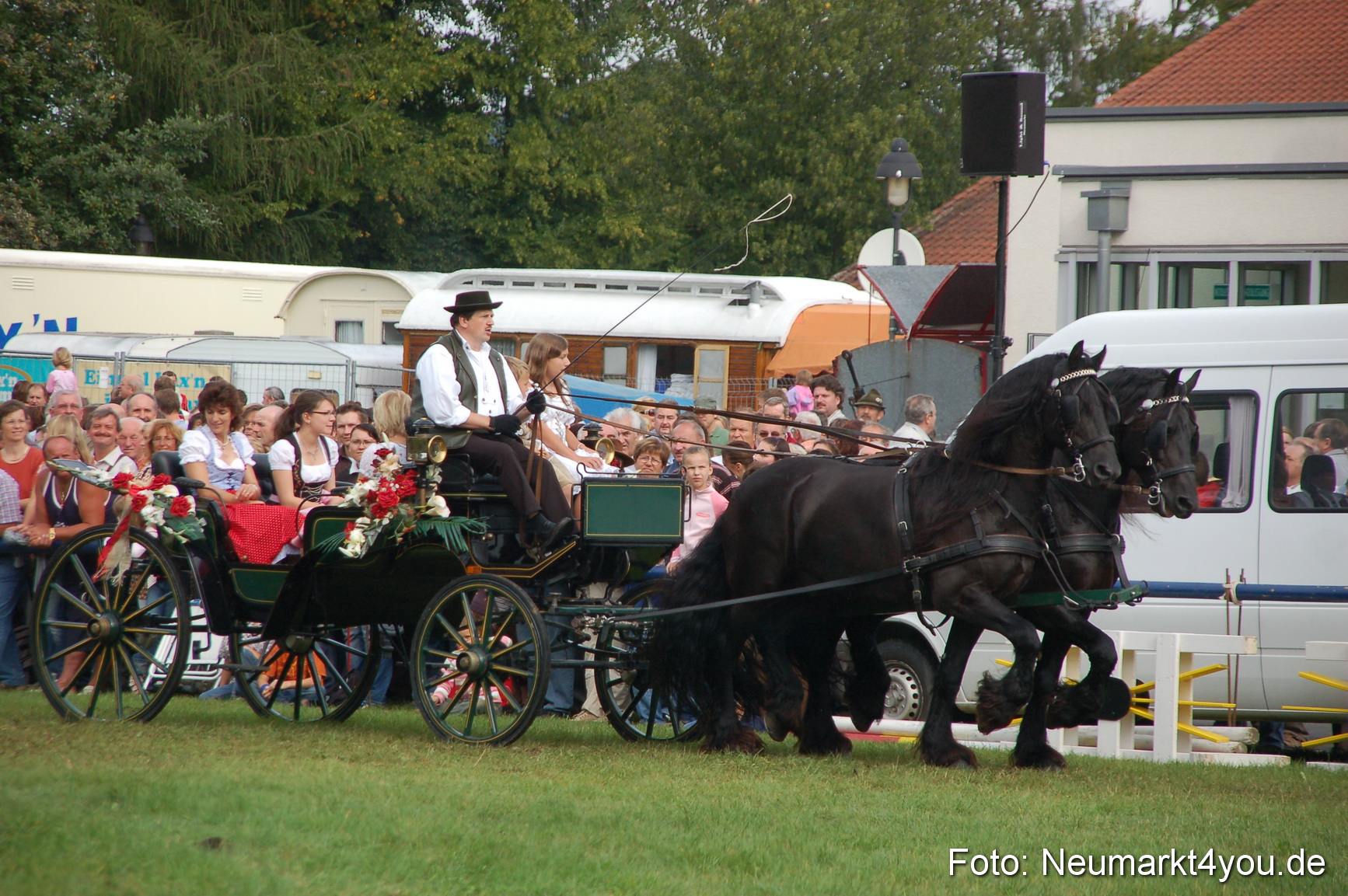 0360 Pferde Fohlenschau 200807