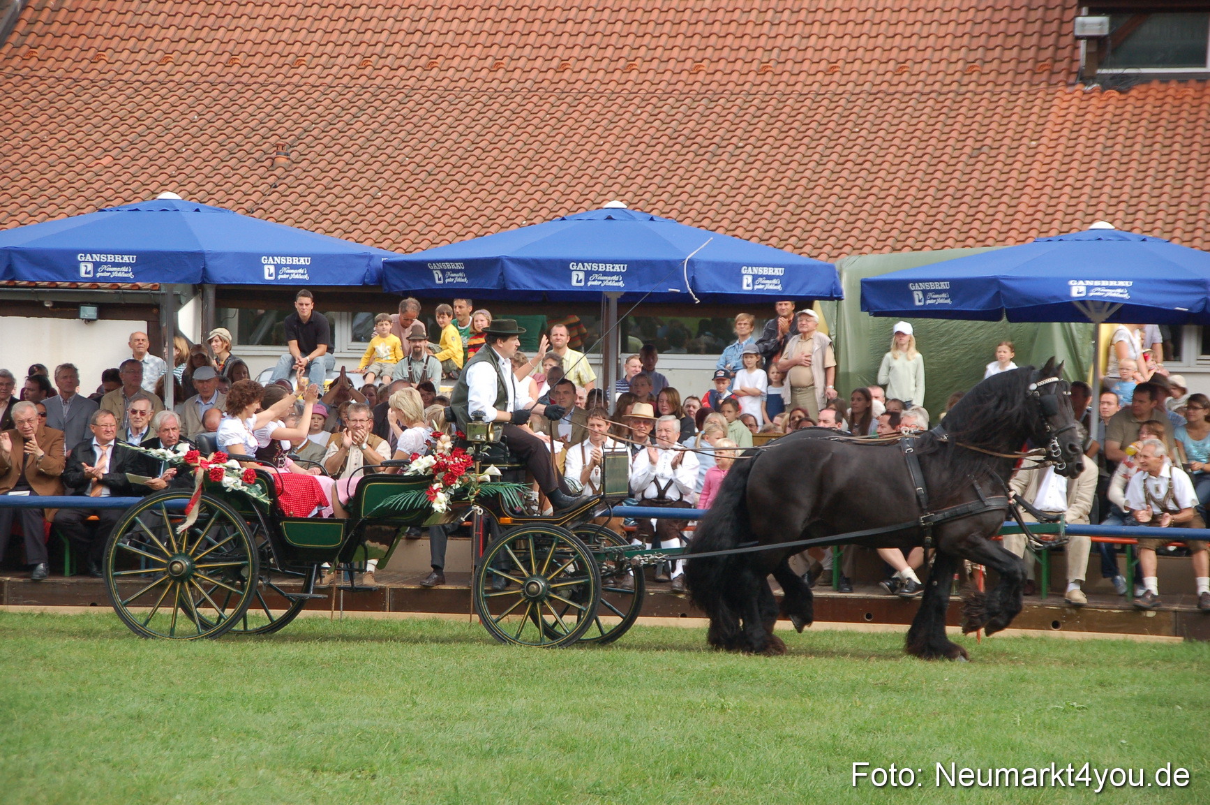 0361 Pferde Fohlenschau 200807
