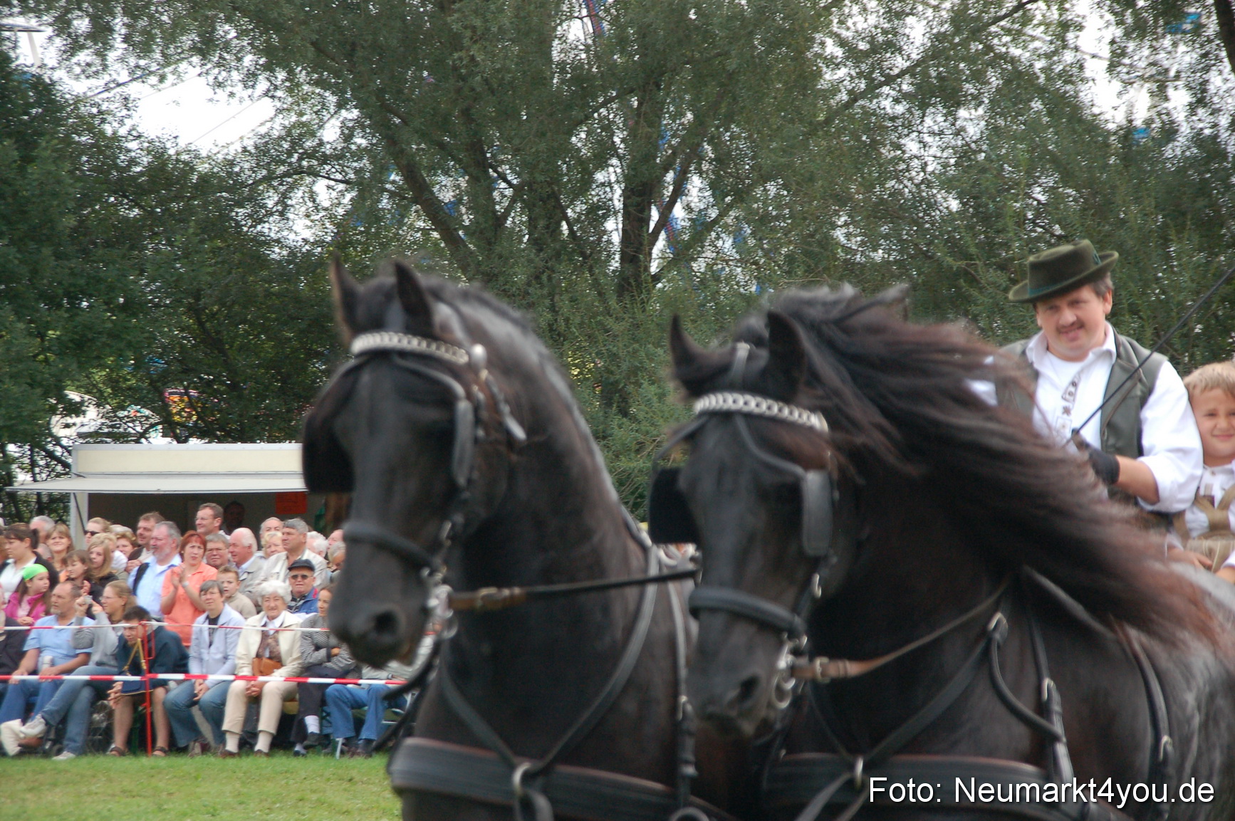 0364 Pferde Fohlenschau 200807