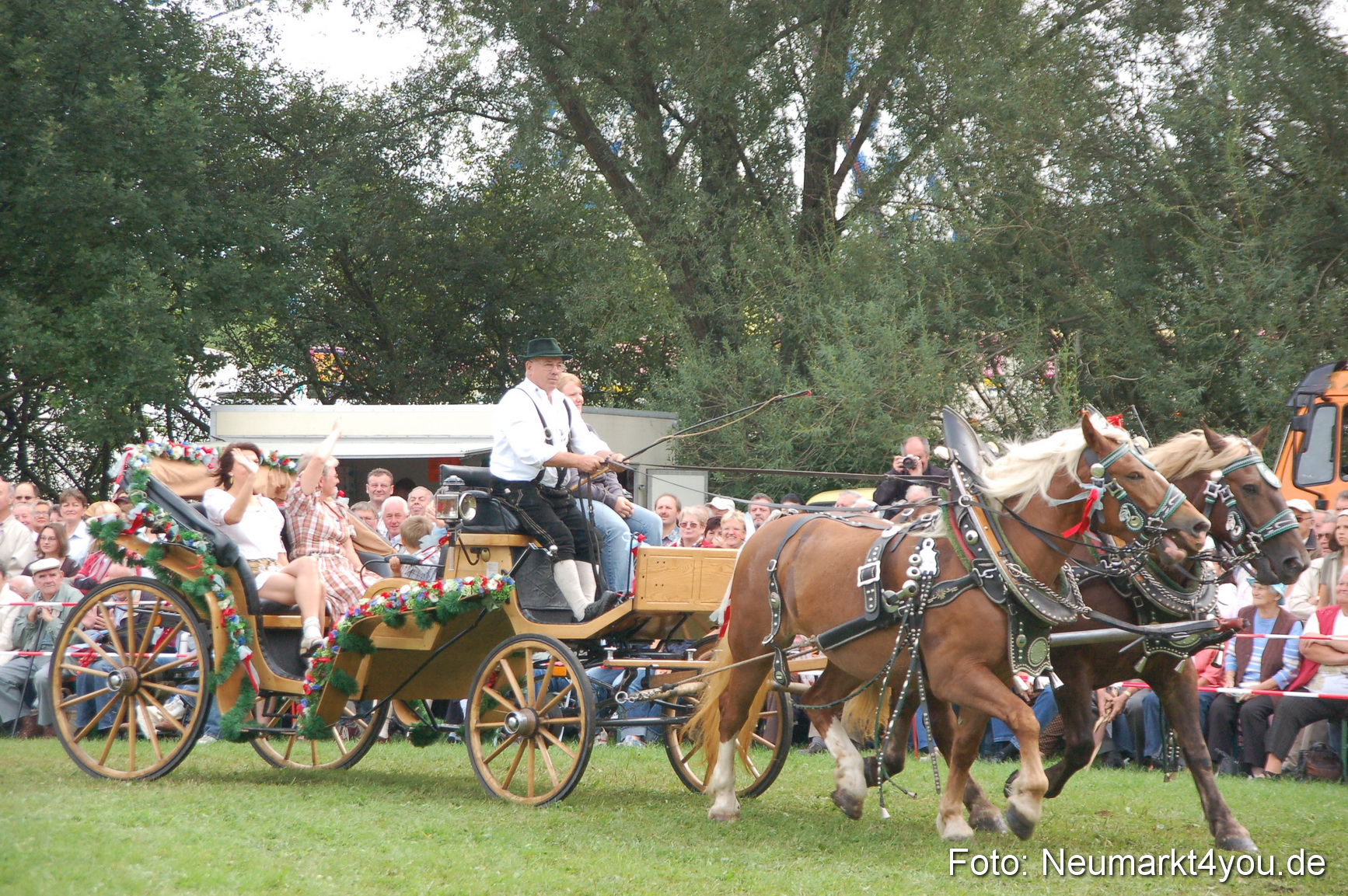 0366 Pferde Fohlenschau 200807