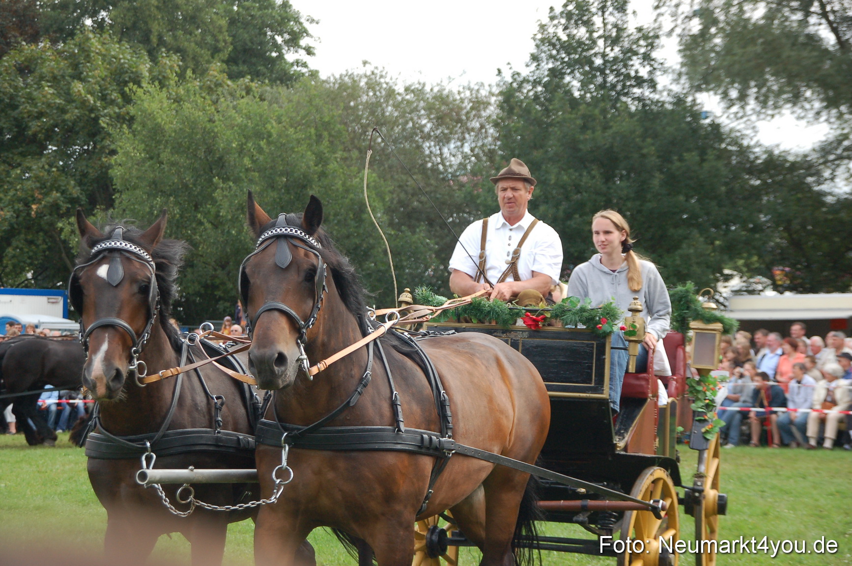 0368 Pferde Fohlenschau 200807