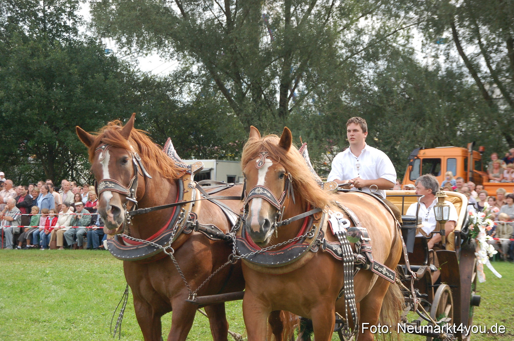0372 Pferde Fohlenschau 200807