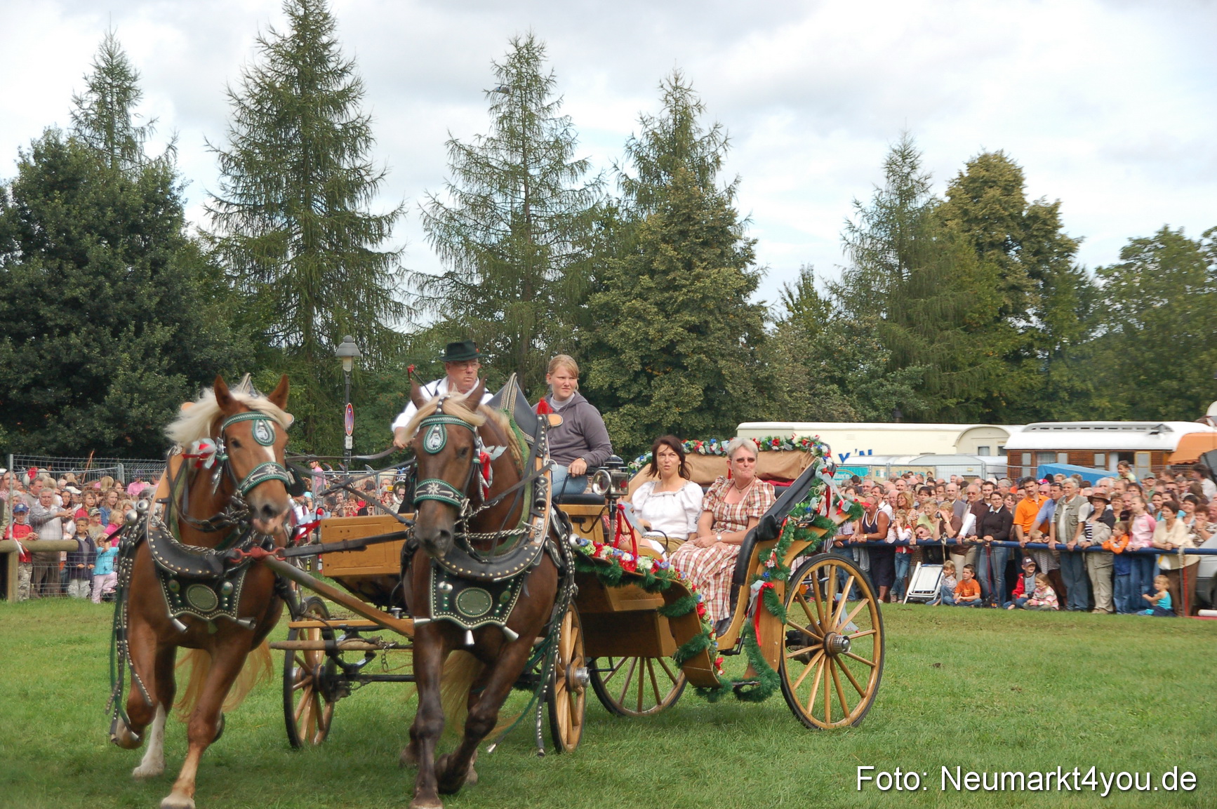 0373 Pferde Fohlenschau 200807