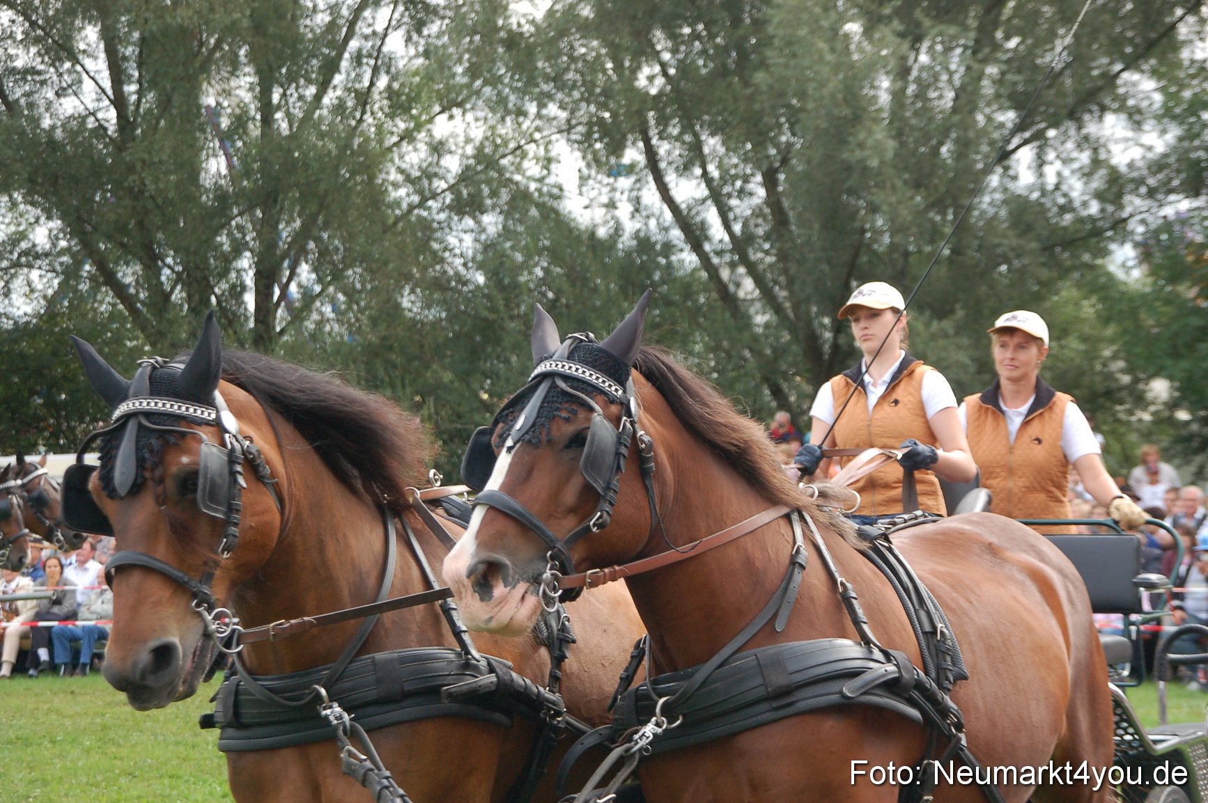 0375 Pferde Fohlenschau 200807