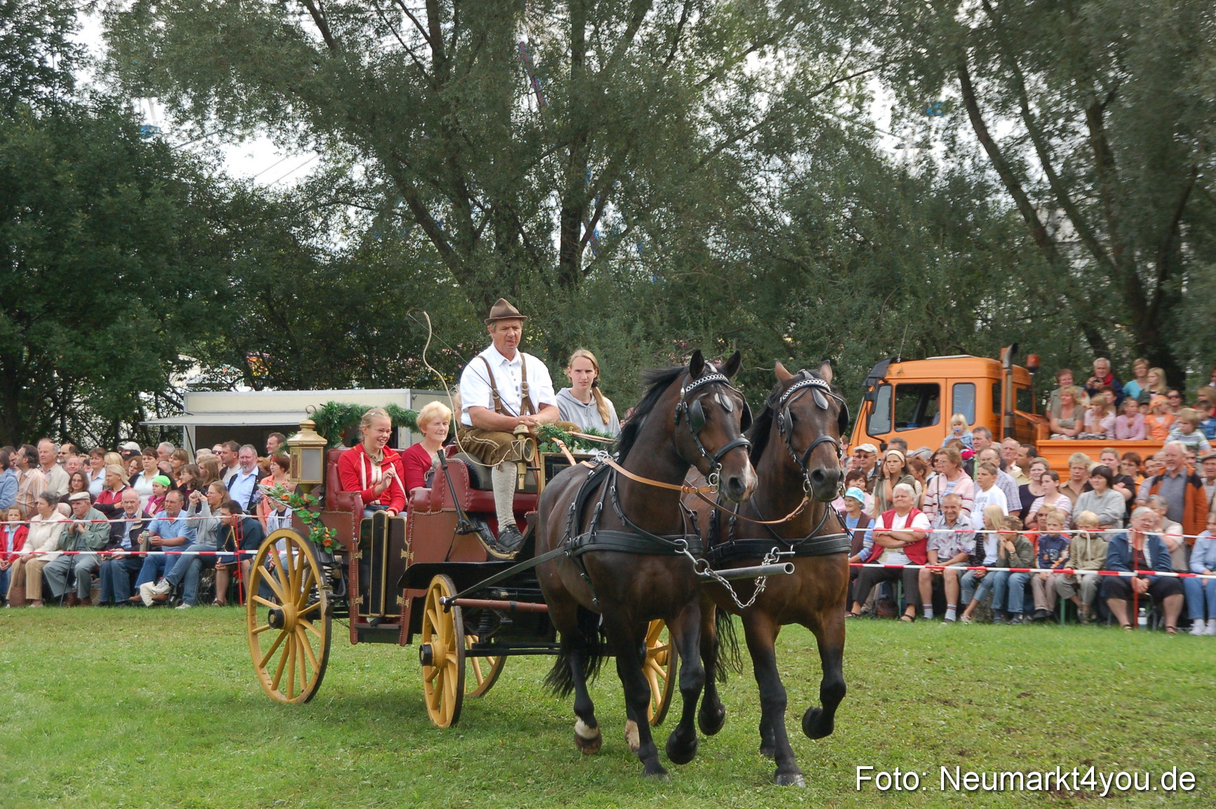 0376 Pferde Fohlenschau 200807