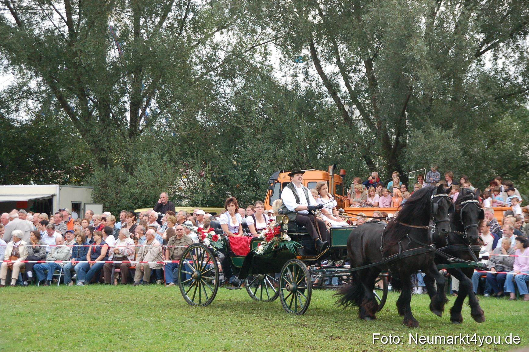 0381 Pferde Fohlenschau 200807