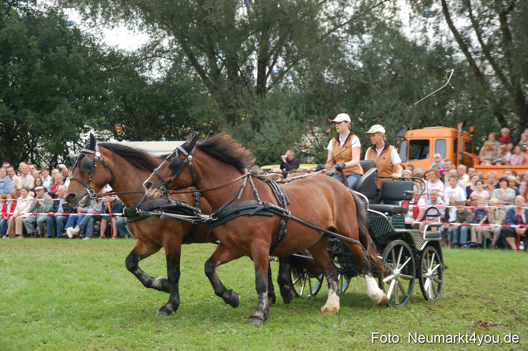 0382 Pferde Fohlenschau 200807