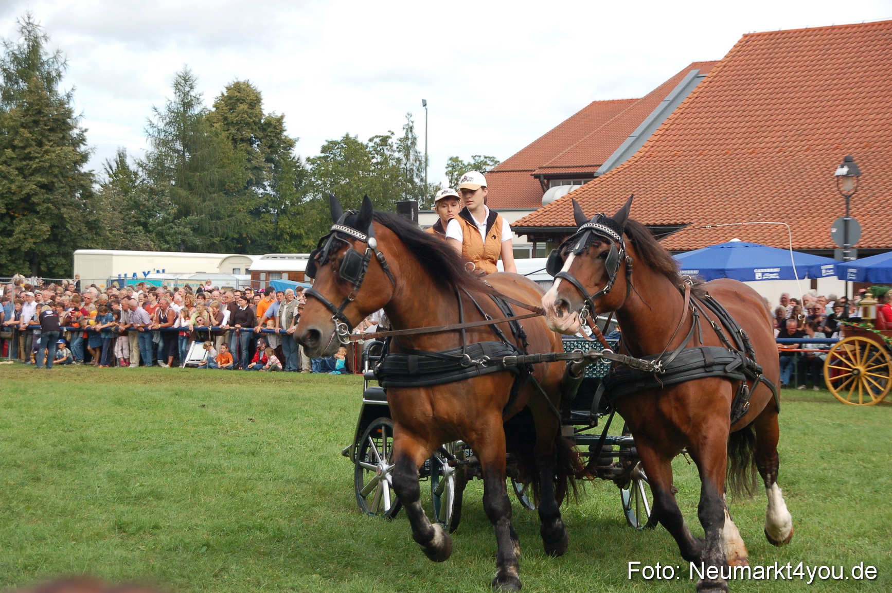0384 Pferde Fohlenschau 200807