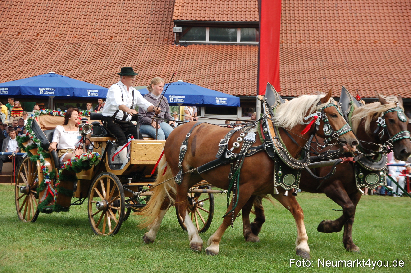 0387 Pferde Fohlenschau 200807