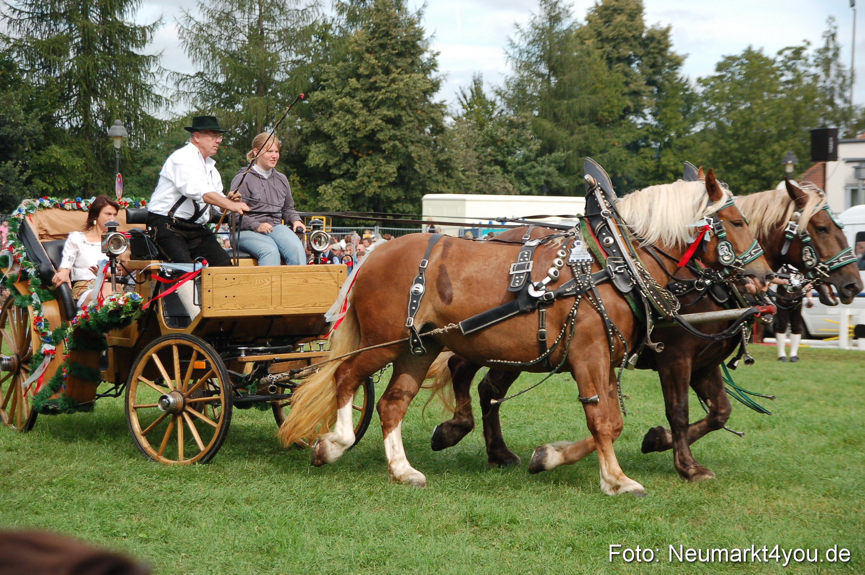 0388 Pferde Fohlenschau 200807