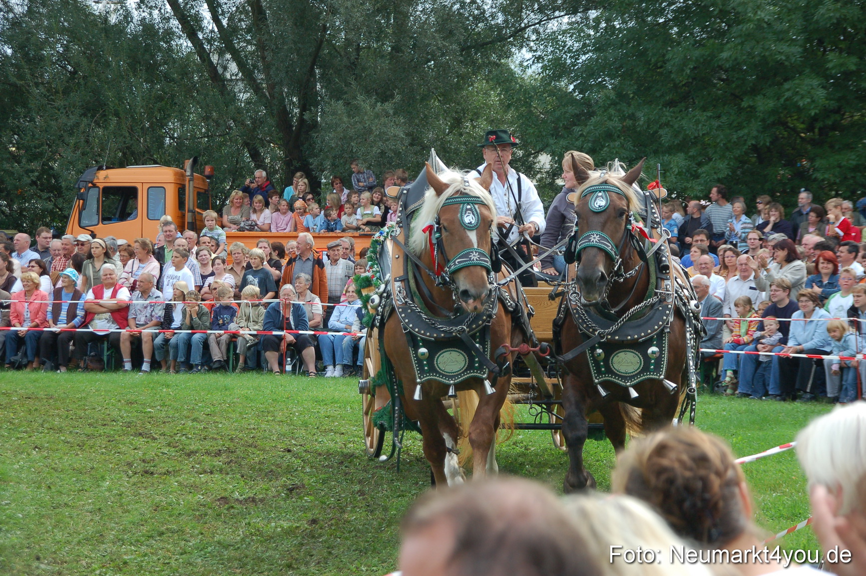 0391 Pferde Fohlenschau 200807