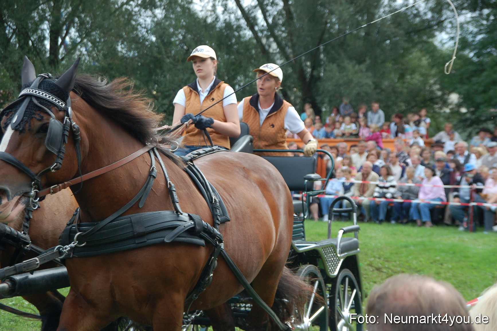 0394 Pferde Fohlenschau 200807