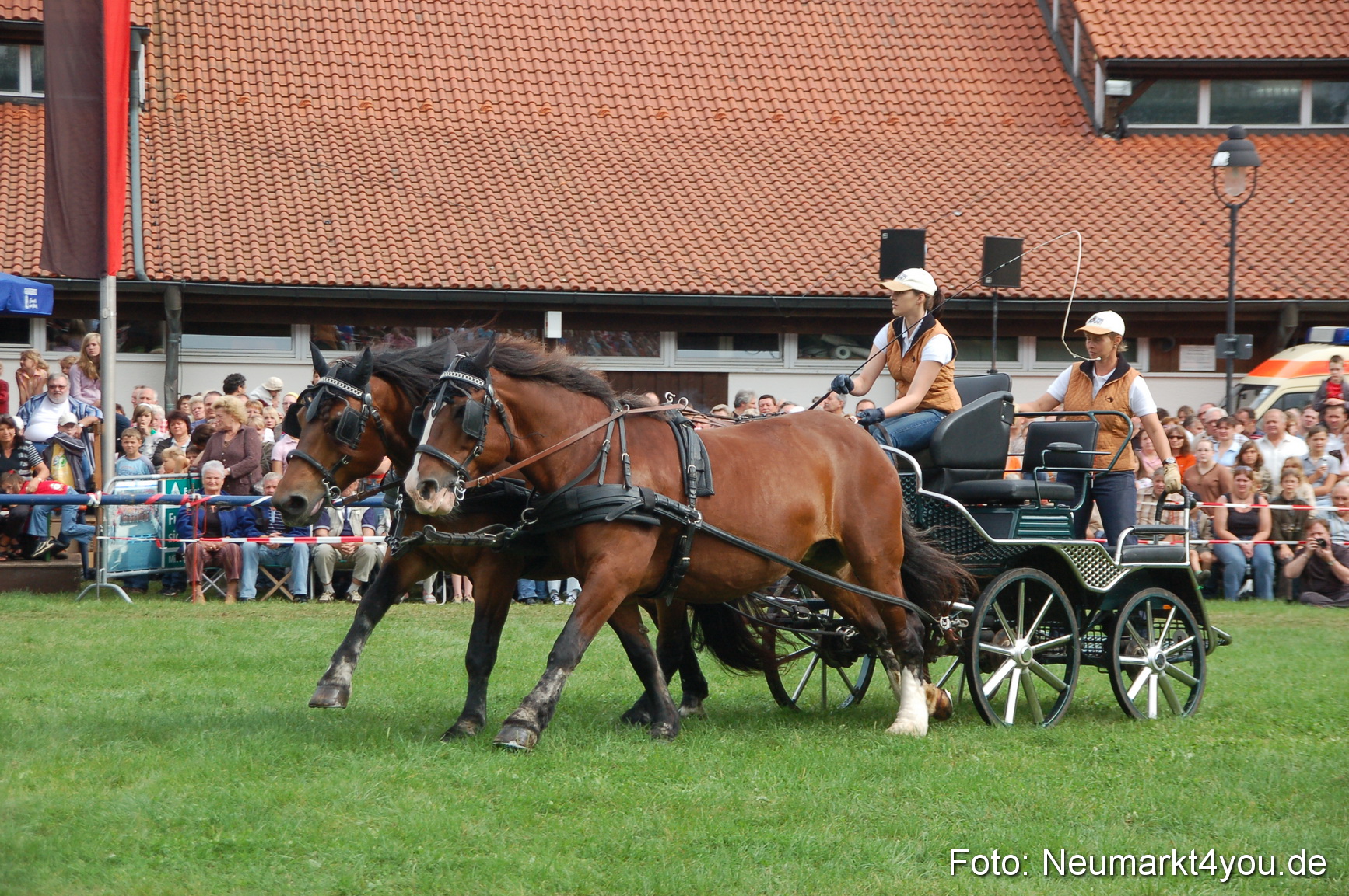 0397 Pferde Fohlenschau 200807