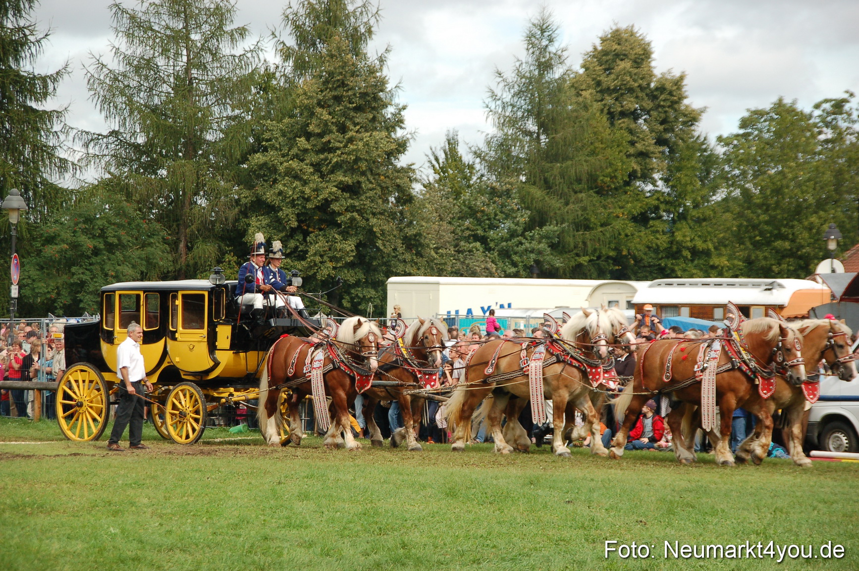 0398 Pferde Fohlenschau 200807