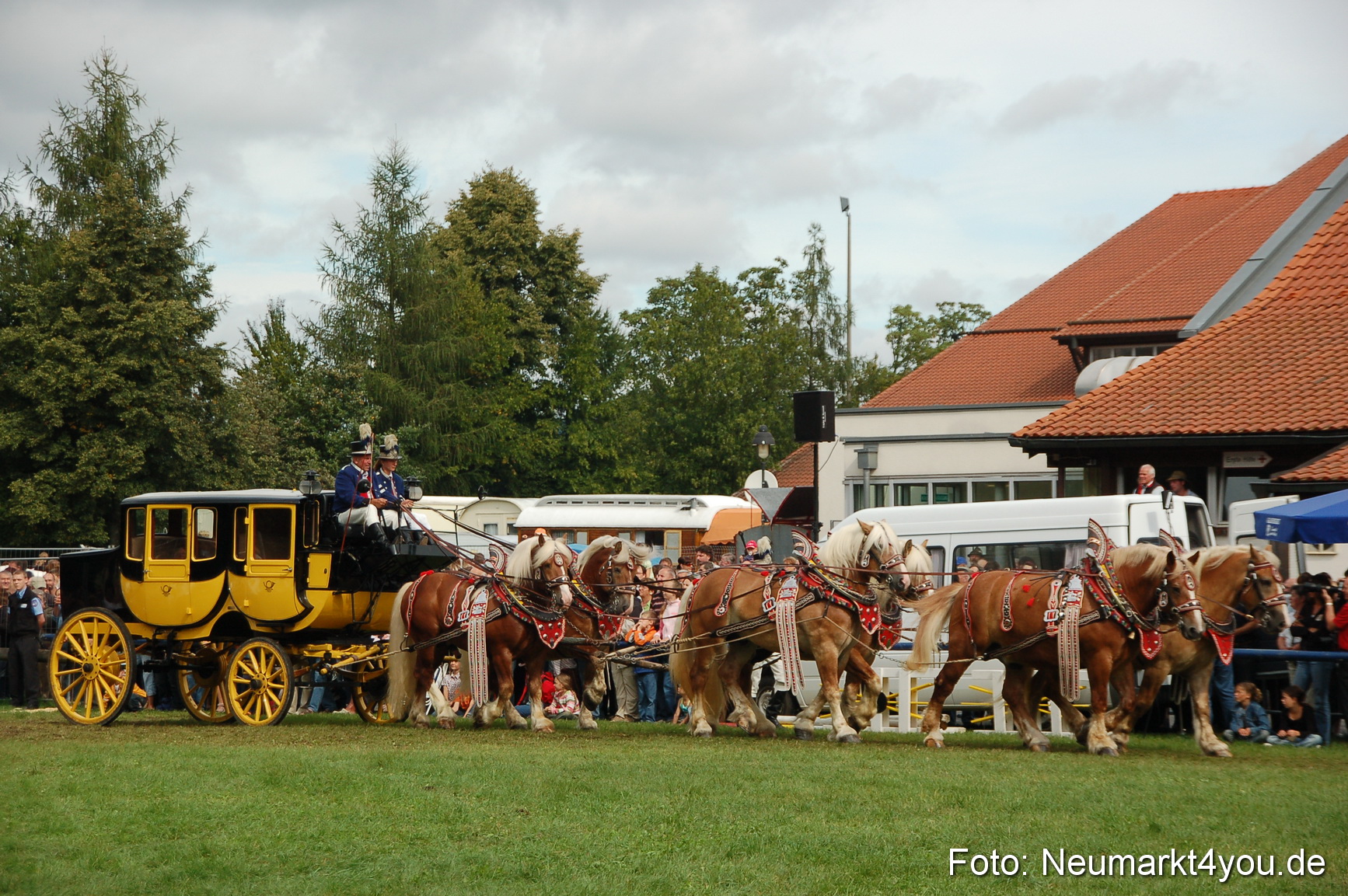 0399 Pferde Fohlenschau 200807