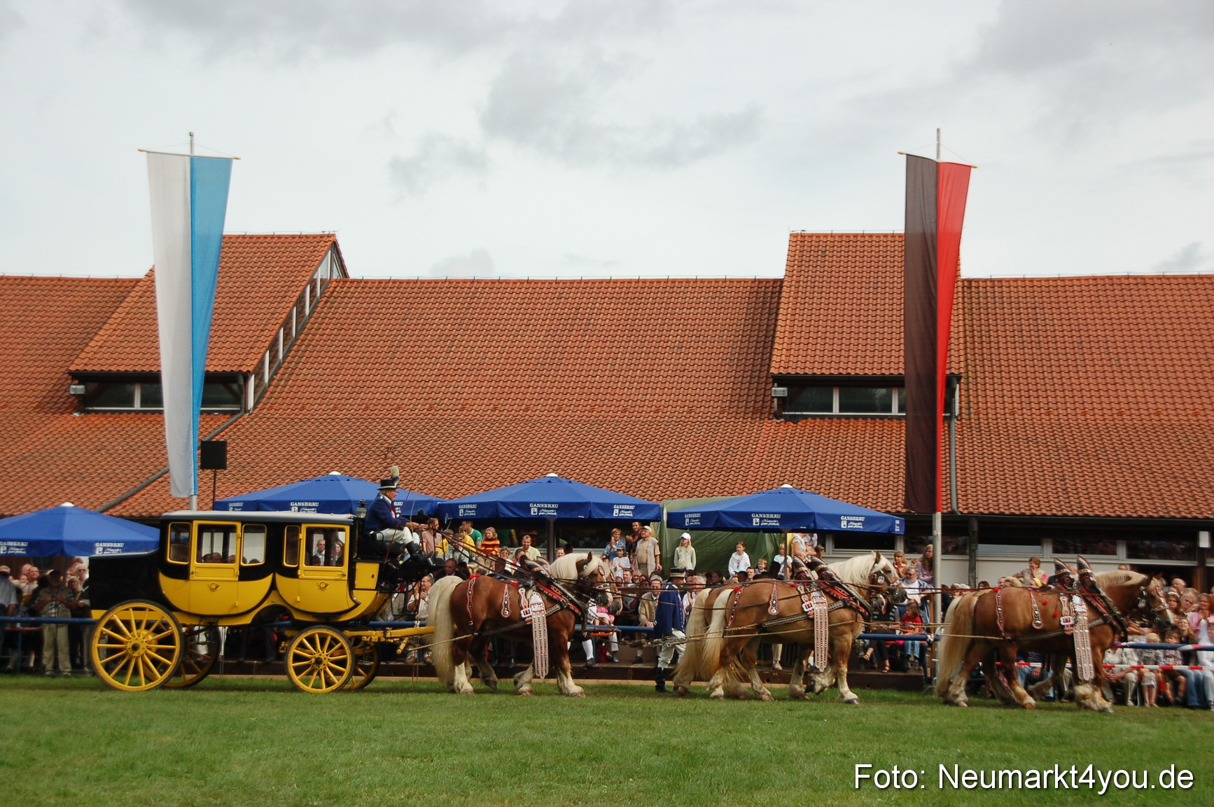 0400 Pferde Fohlenschau 200807