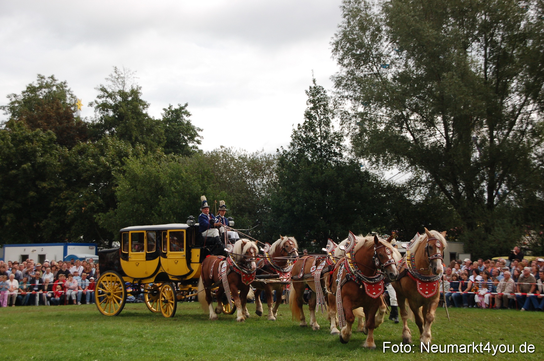 0402 Pferde Fohlenschau 200807