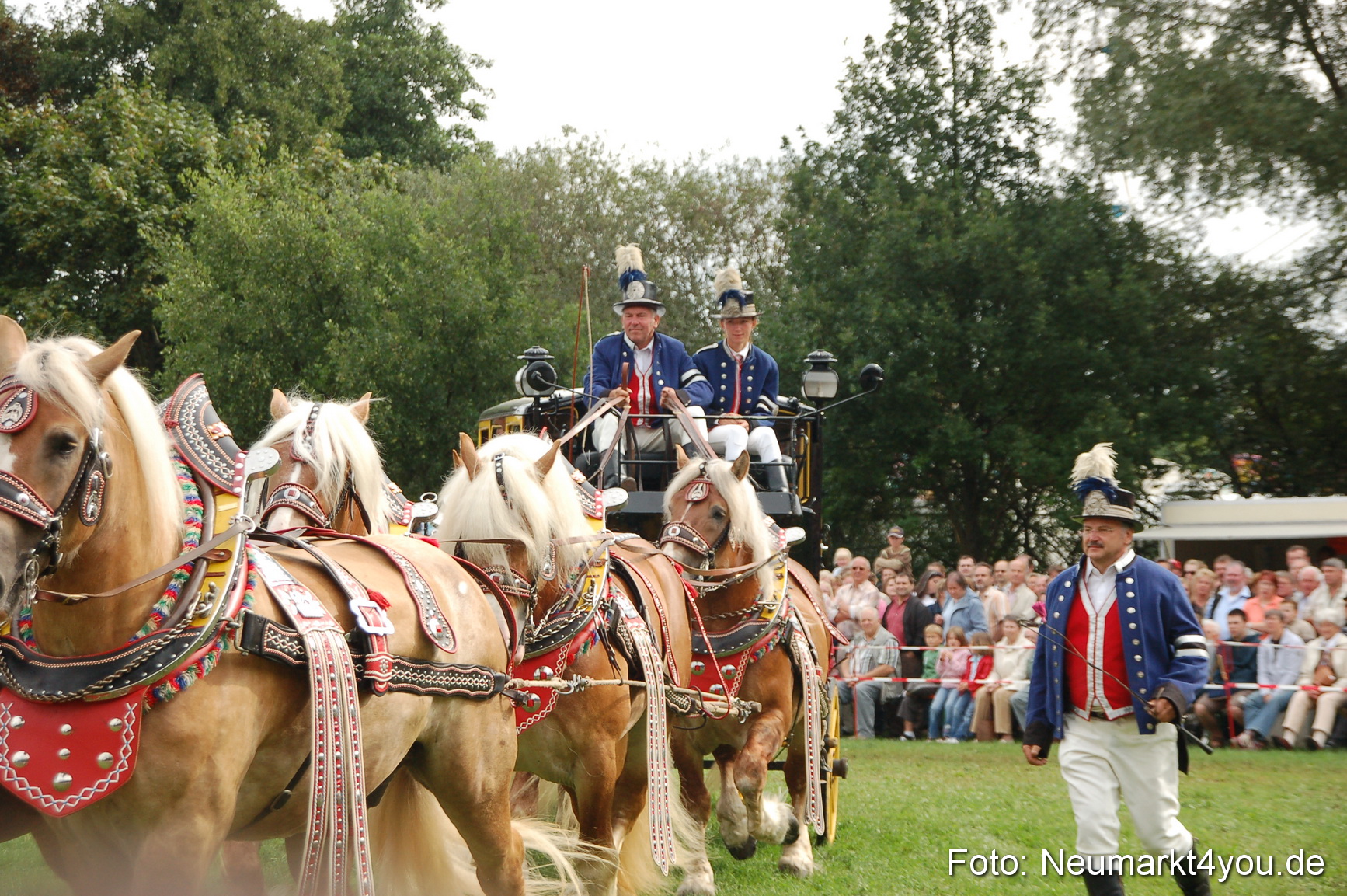 0403 Pferde Fohlenschau 200807