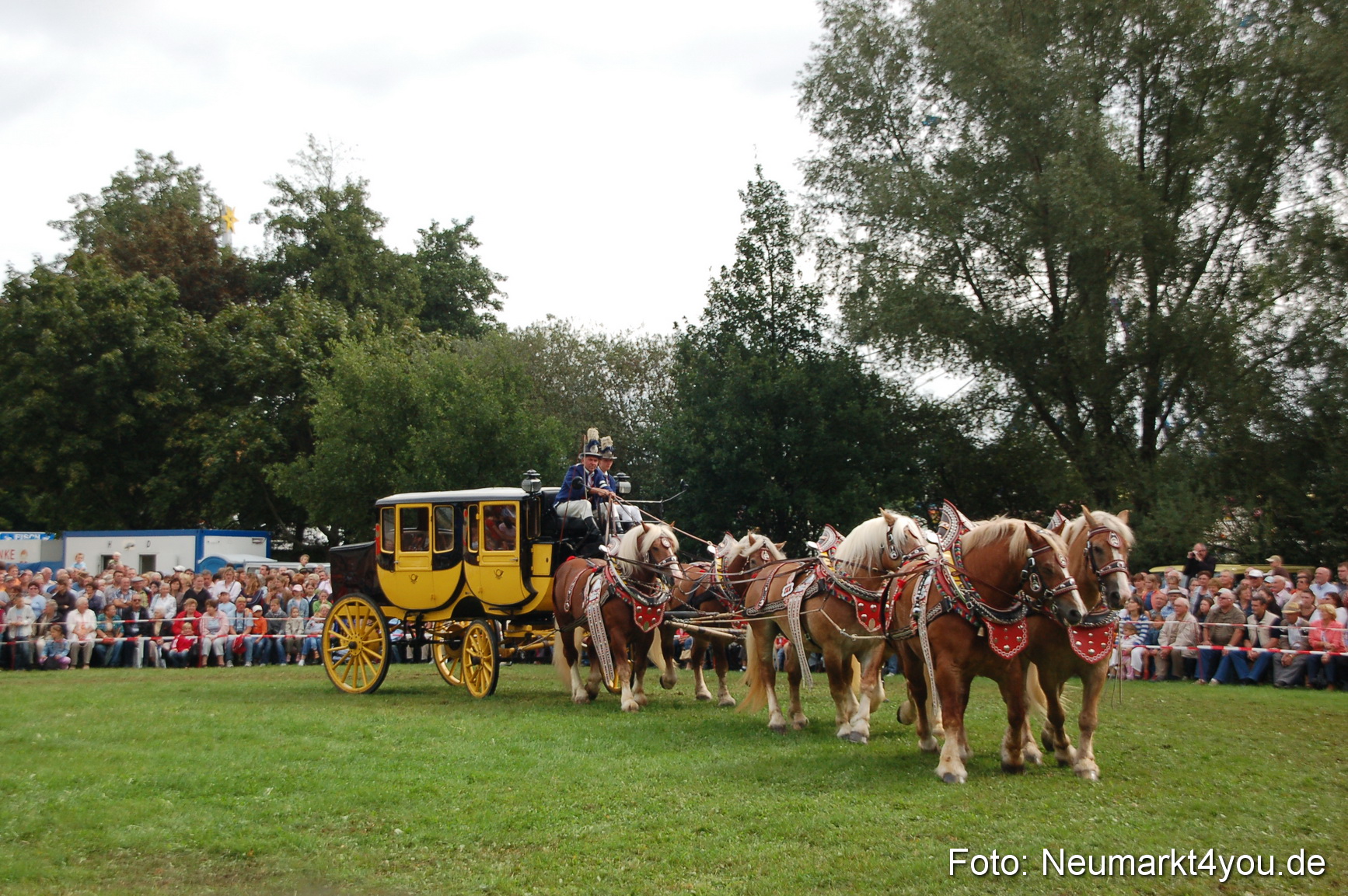 0405 Pferde Fohlenschau 200807