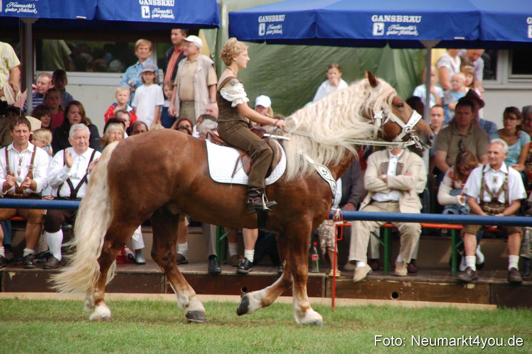 0408 Pferde Fohlenschau 200807
