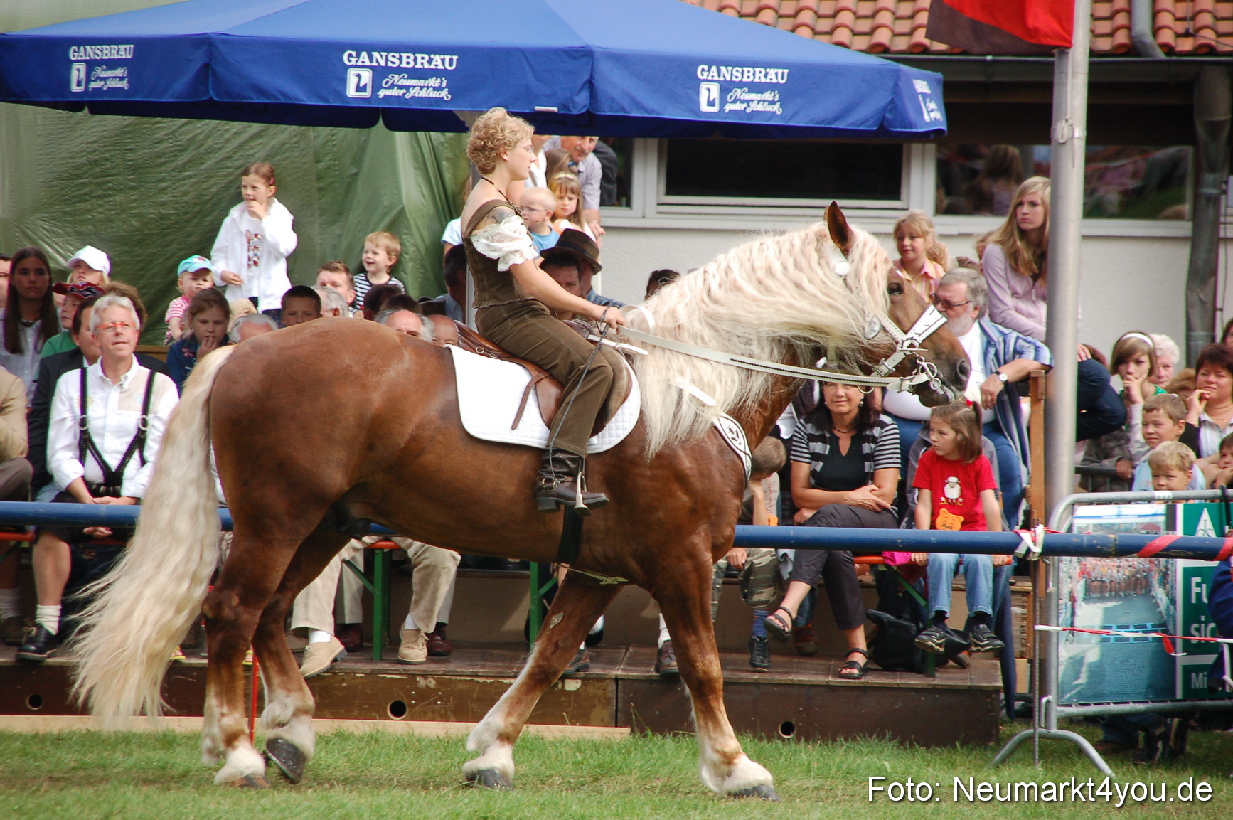 0409 Pferde Fohlenschau 200807