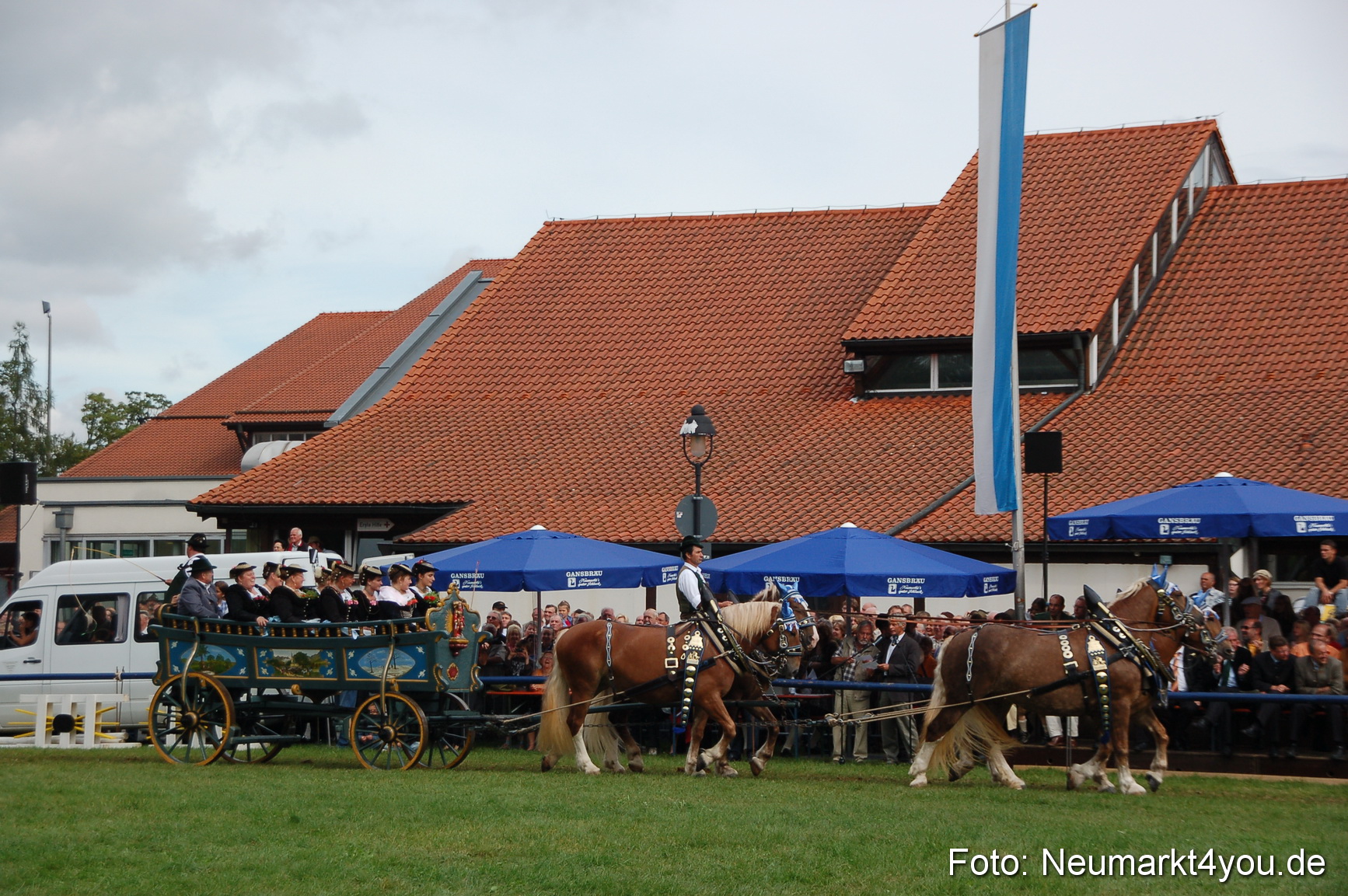 0410 Pferde Fohlenschau 200807