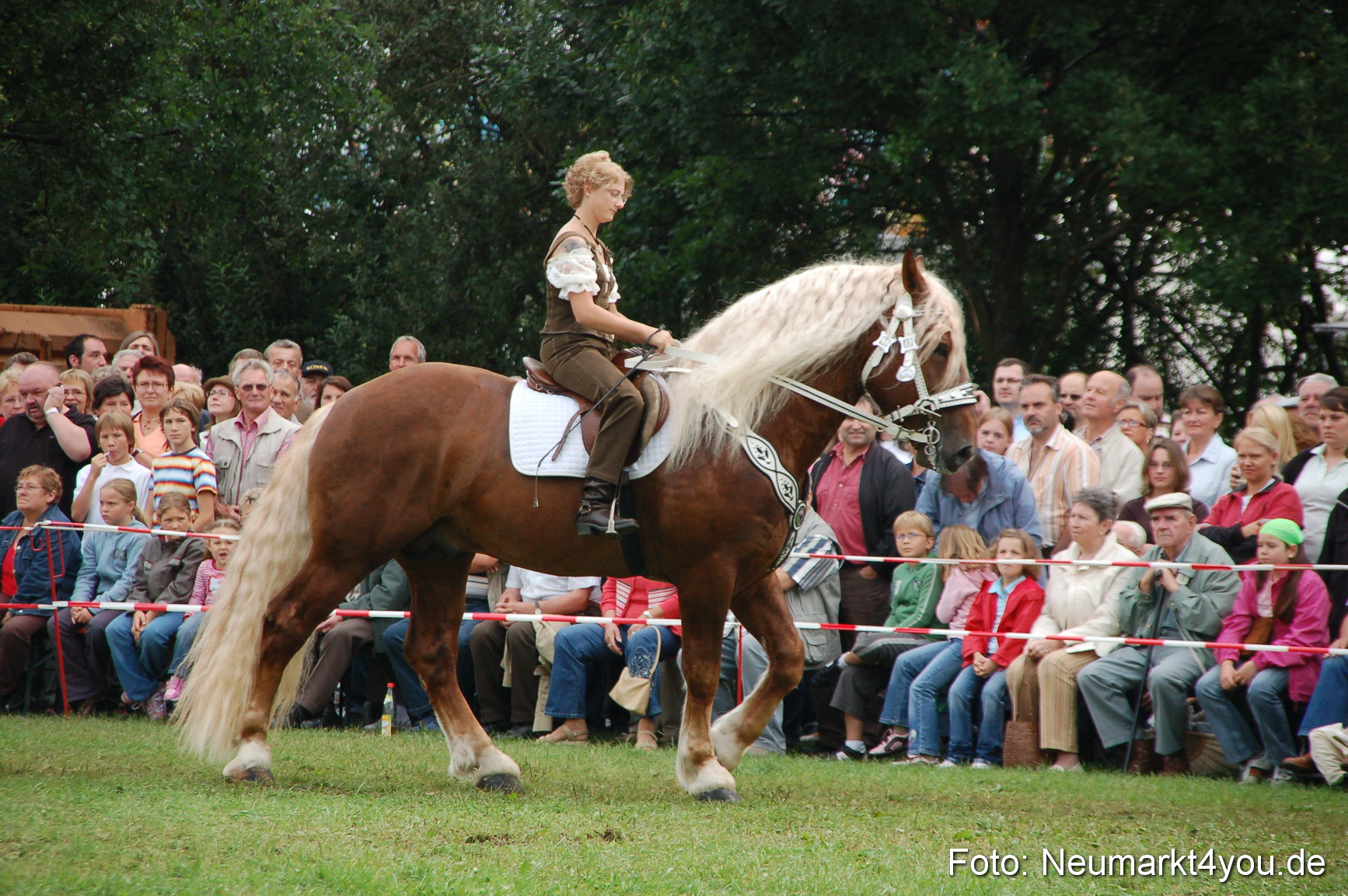 0412 Pferde Fohlenschau 200807