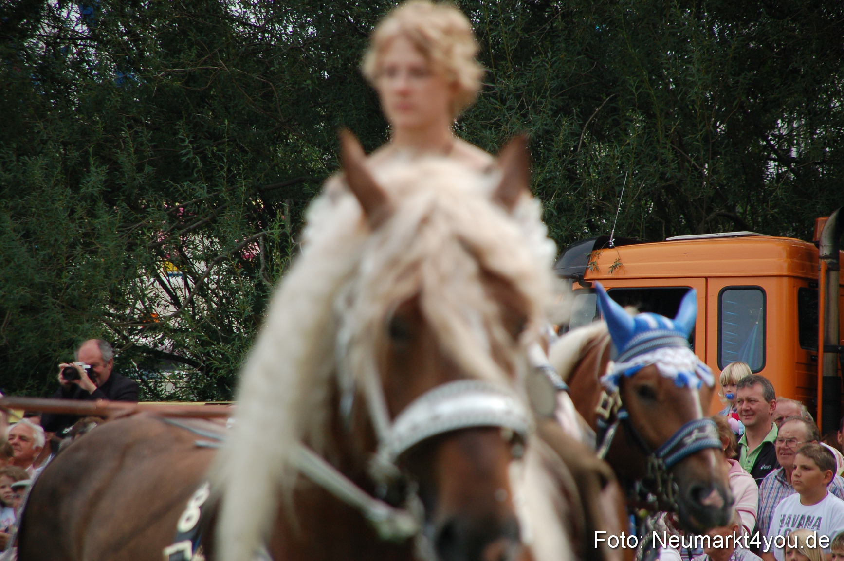 0414 Pferde Fohlenschau 200807