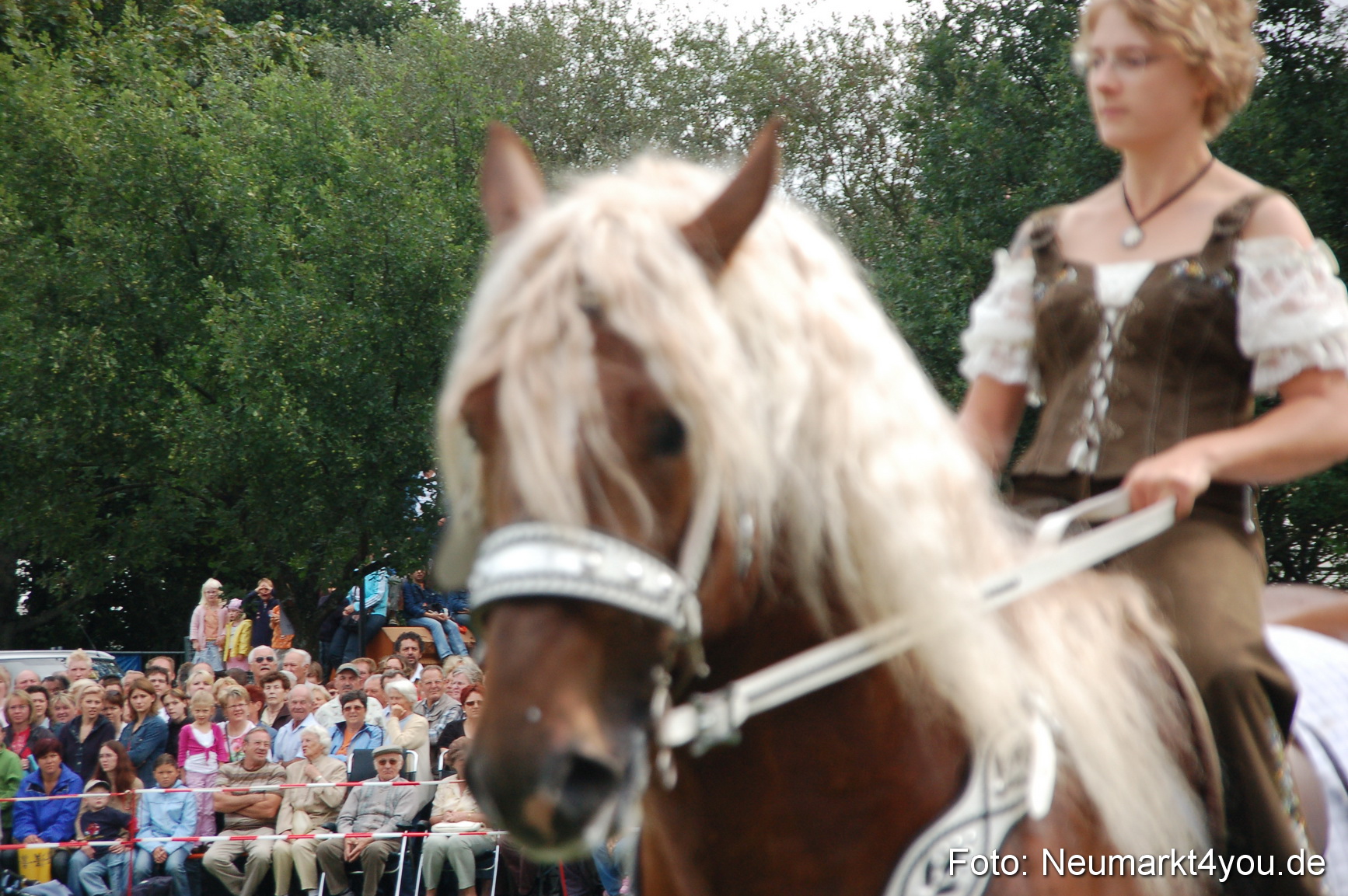 0415 Pferde Fohlenschau 200807
