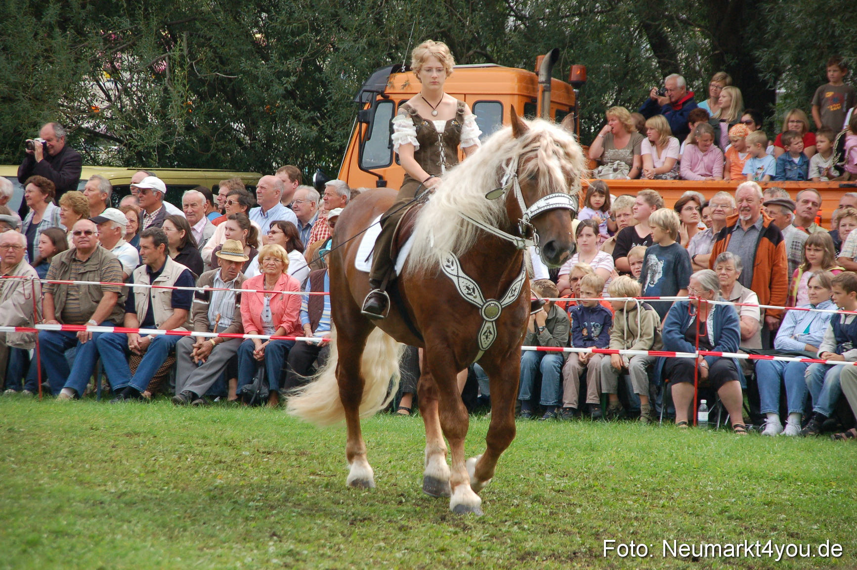 0423 Pferde Fohlenschau 200807