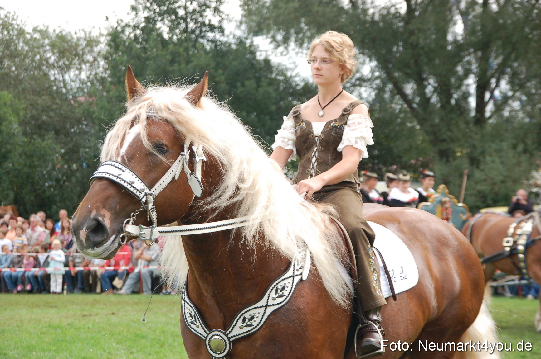 0424 Pferde Fohlenschau 200807