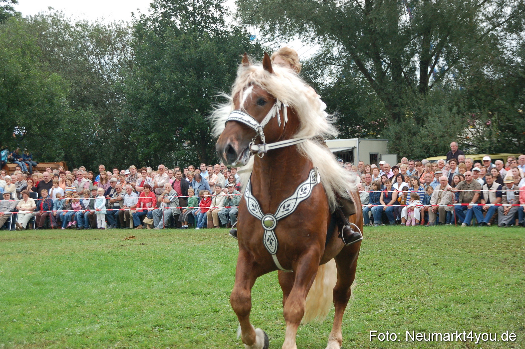 0429 Pferde Fohlenschau 200807