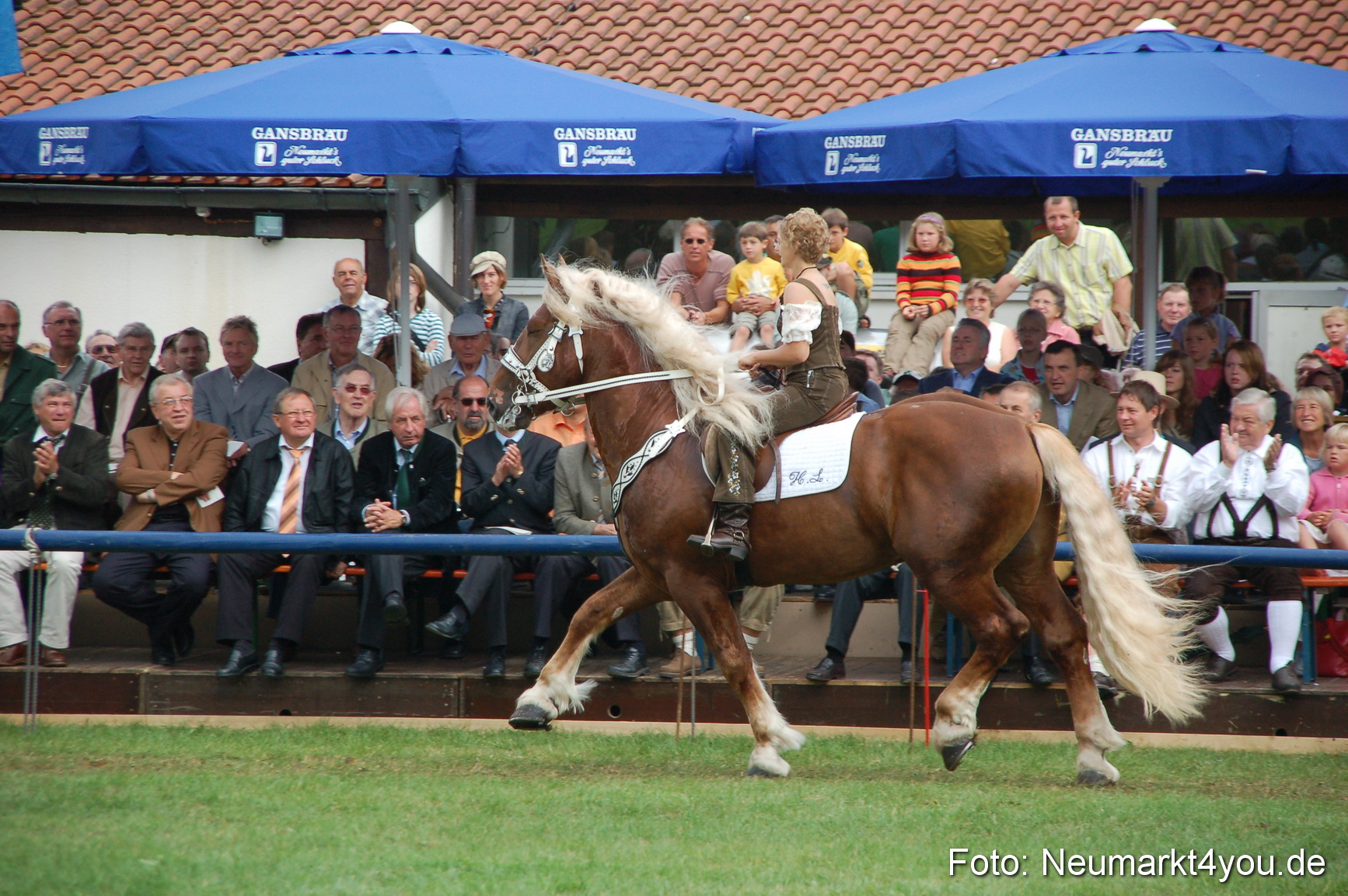 0430 Pferde Fohlenschau 200807
