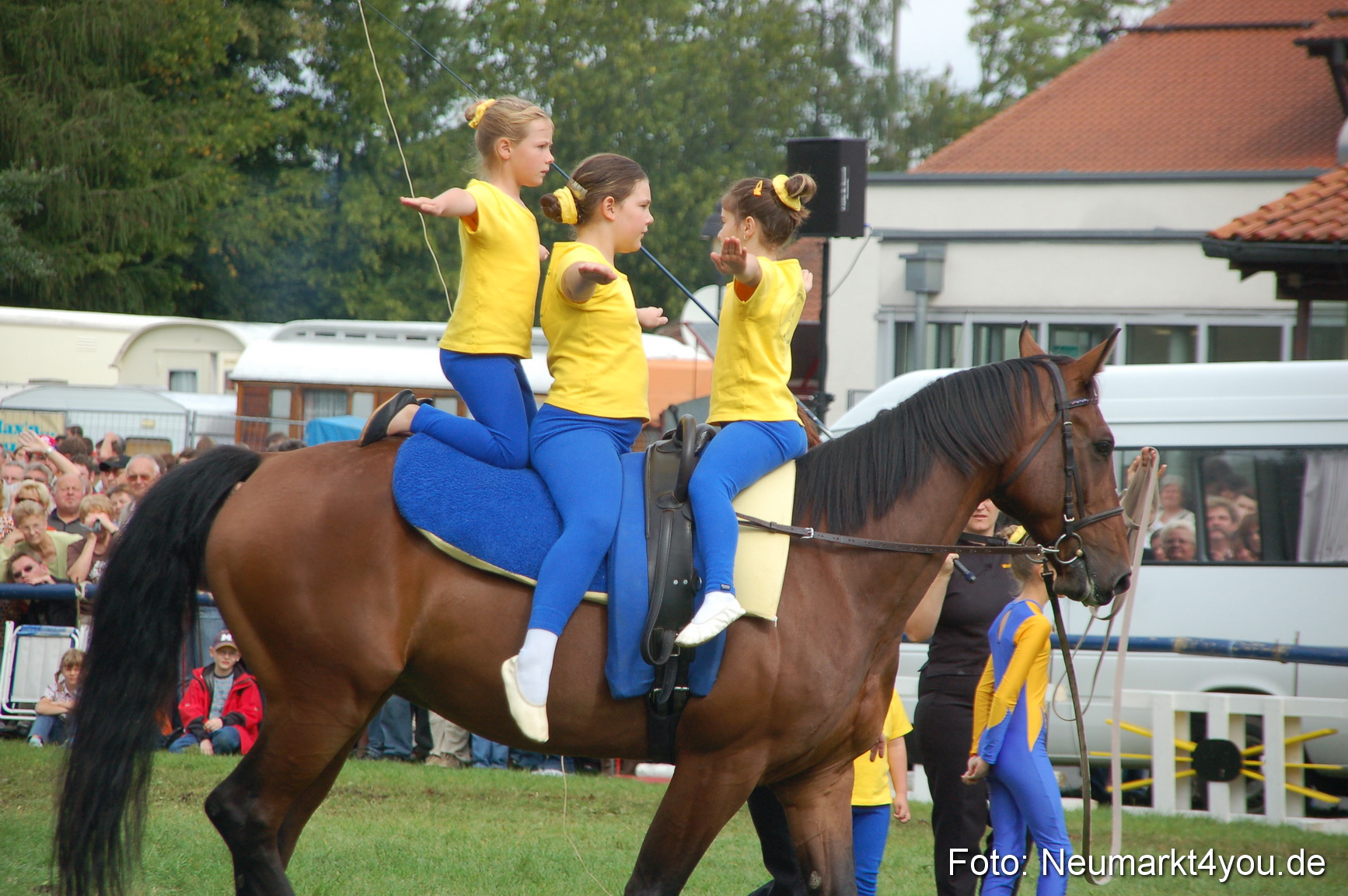 0431 Pferde Fohlenschau 200807