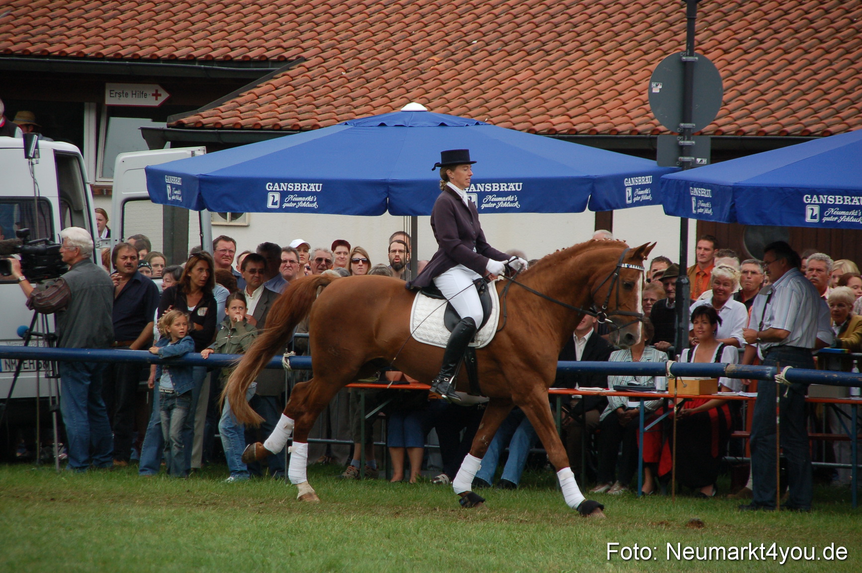 0440 Pferde Fohlenschau 200807