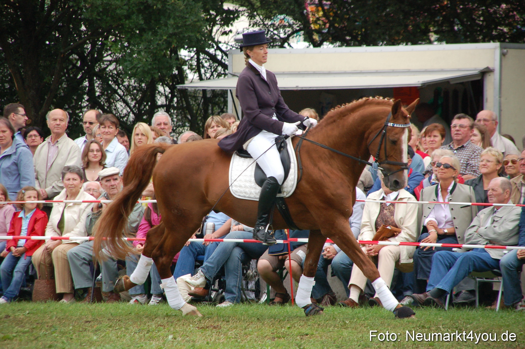 0441 Pferde Fohlenschau 200807