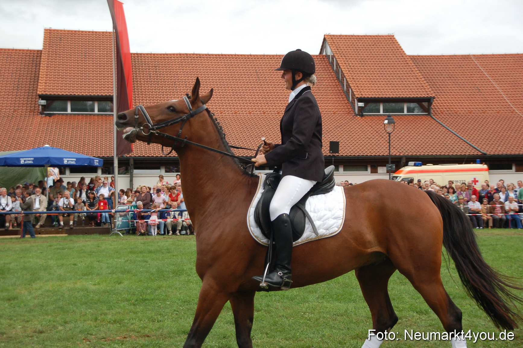 0442 Pferde Fohlenschau 200807