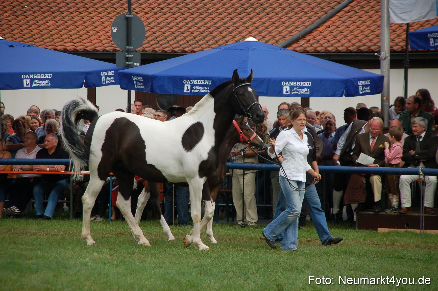 0443 Pferde Fohlenschau 200807