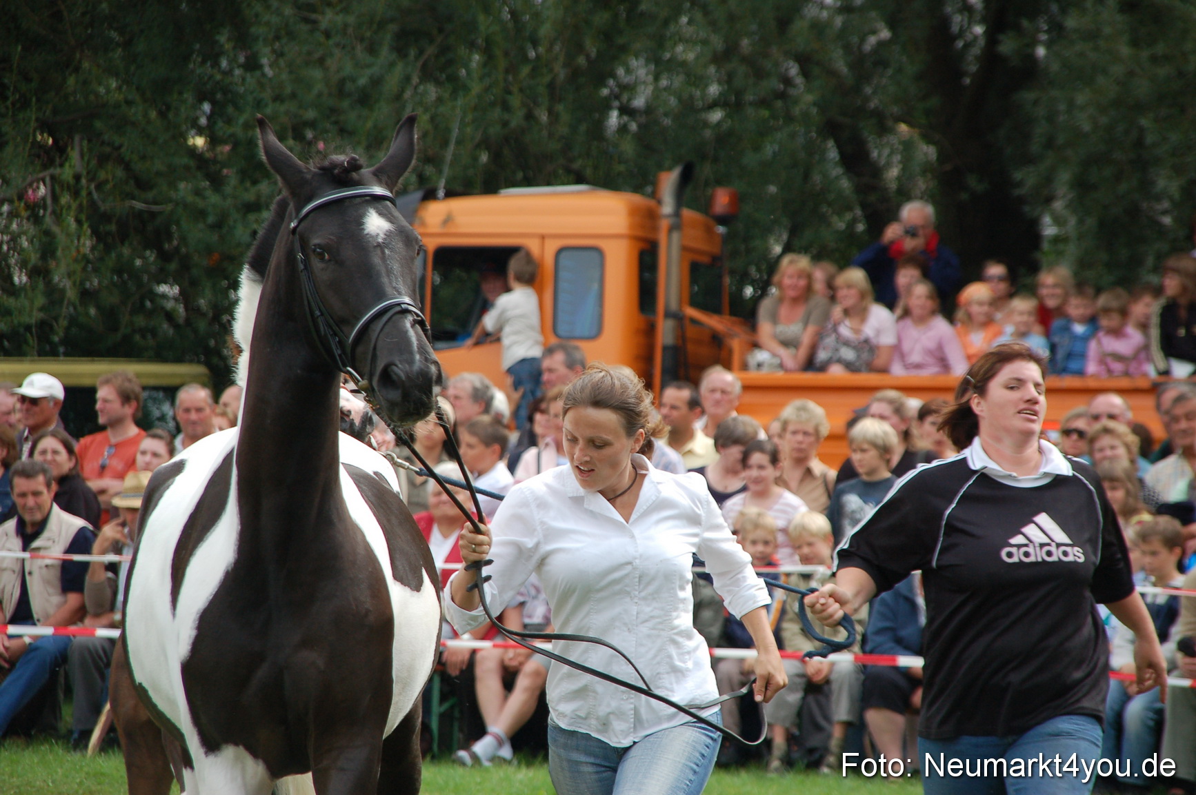 0446 Pferde Fohlenschau 200807
