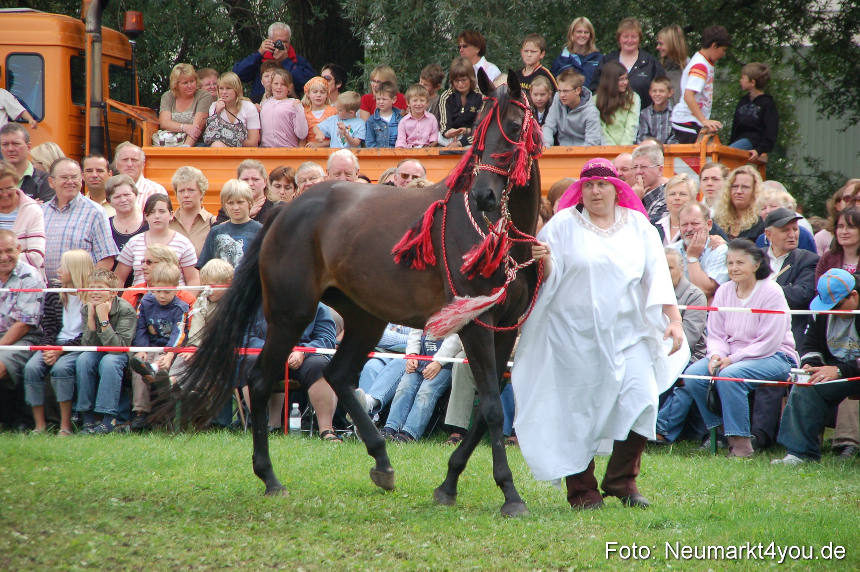 0447 Pferde Fohlenschau 200807